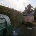 hedge-after